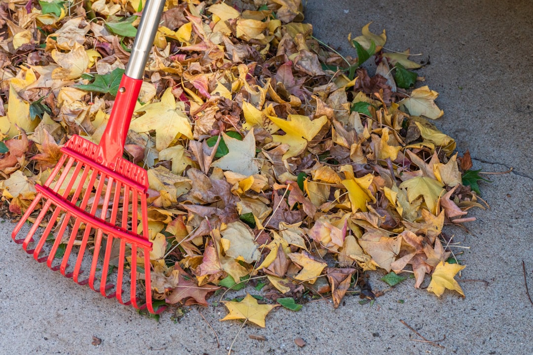 Don't let a blanket of leaves smother the grass.