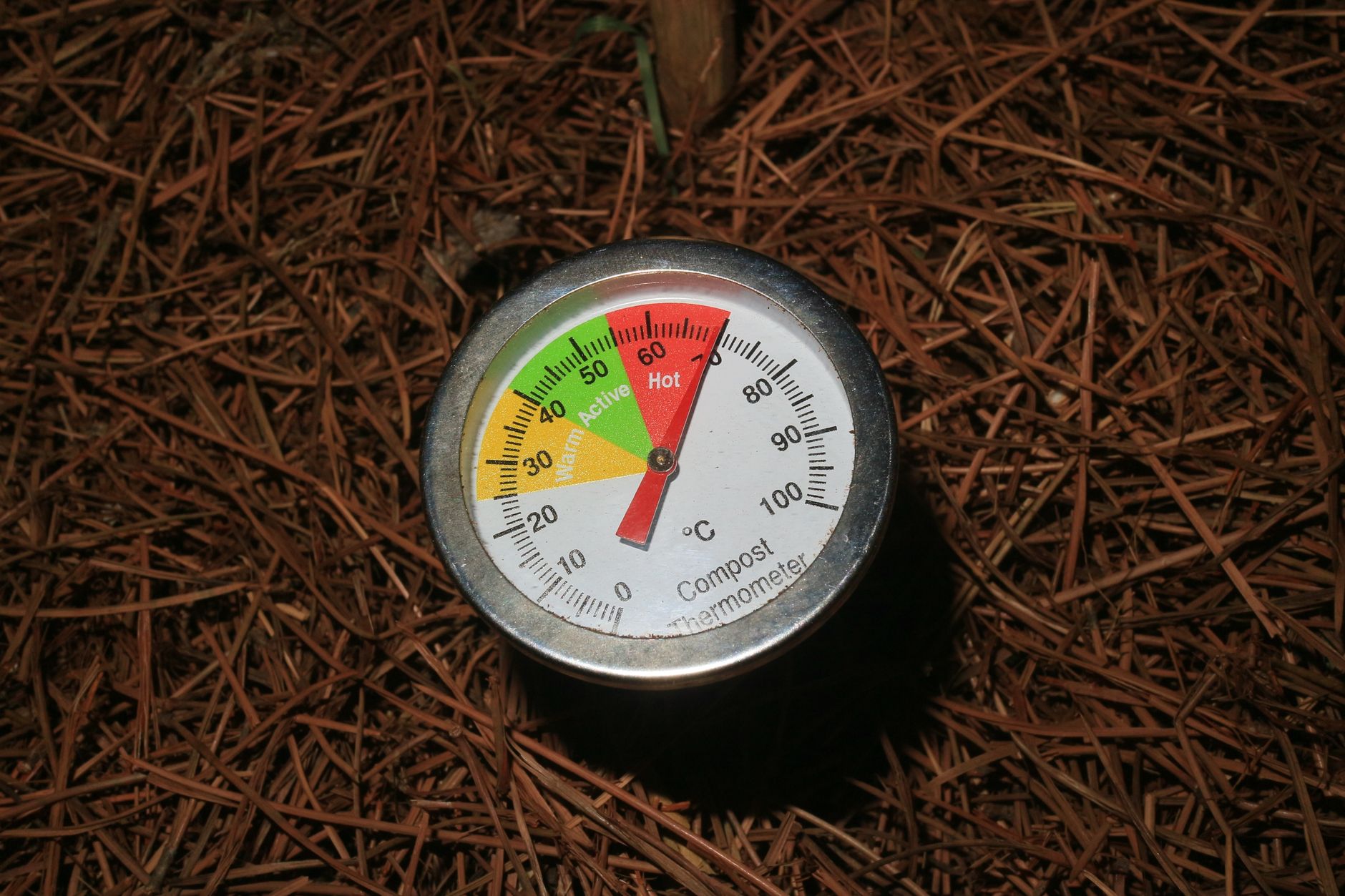 About one inch a week, counting any rain.